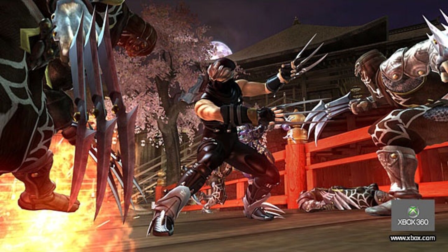 Ninja Gaiden 2 1