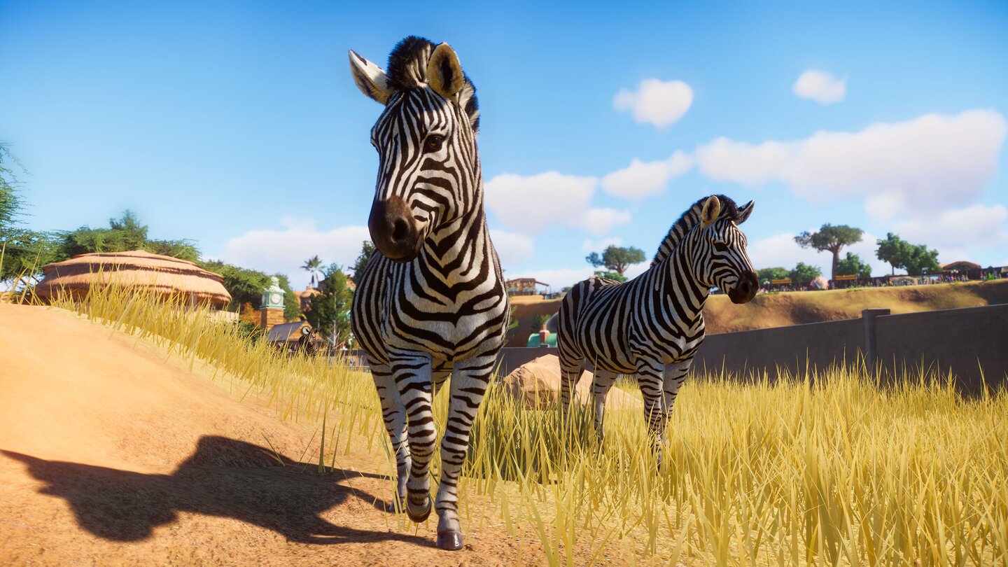 Planet ZooPraktisch: Dieses Paar hat immer Zebrastreifen dabei, um das Gehege sicher zu durchqueren. Offenes Gelände mit Steppengras ist genau ihr Ding.