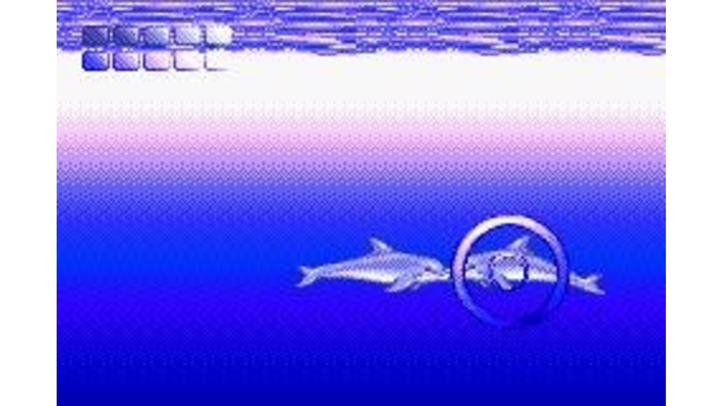 Ecco the Dolphin: Talking to Another Dolphin
