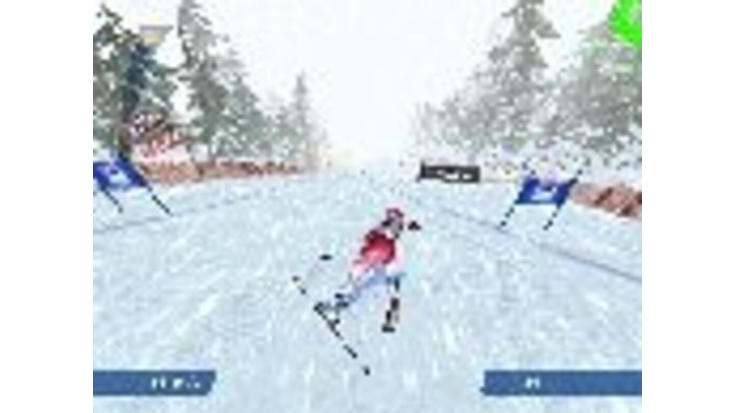 Ski Racing 2006 7