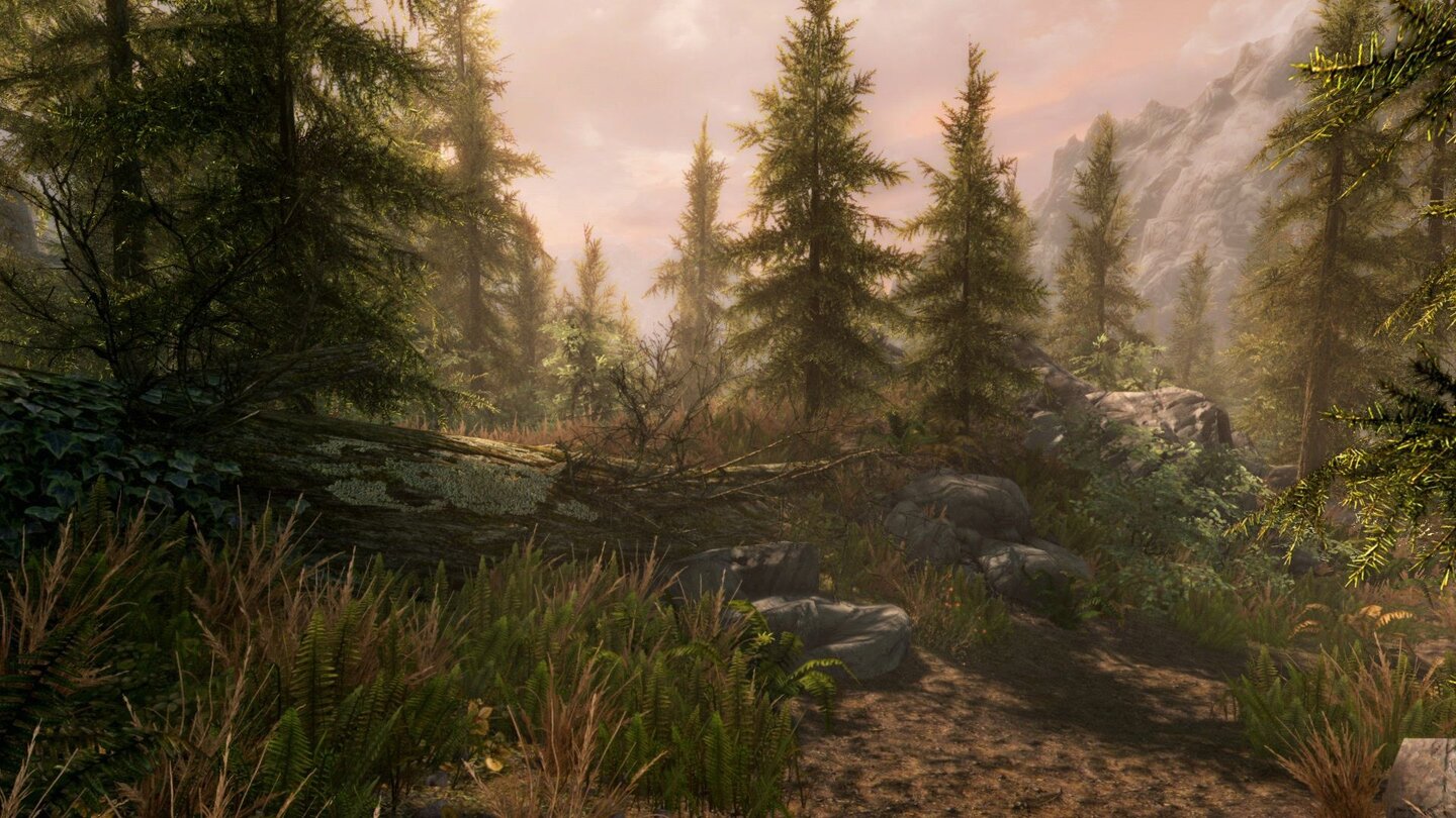 Skyrim HD - Screenshots zum Remaster von The Elder Scrolls 5
