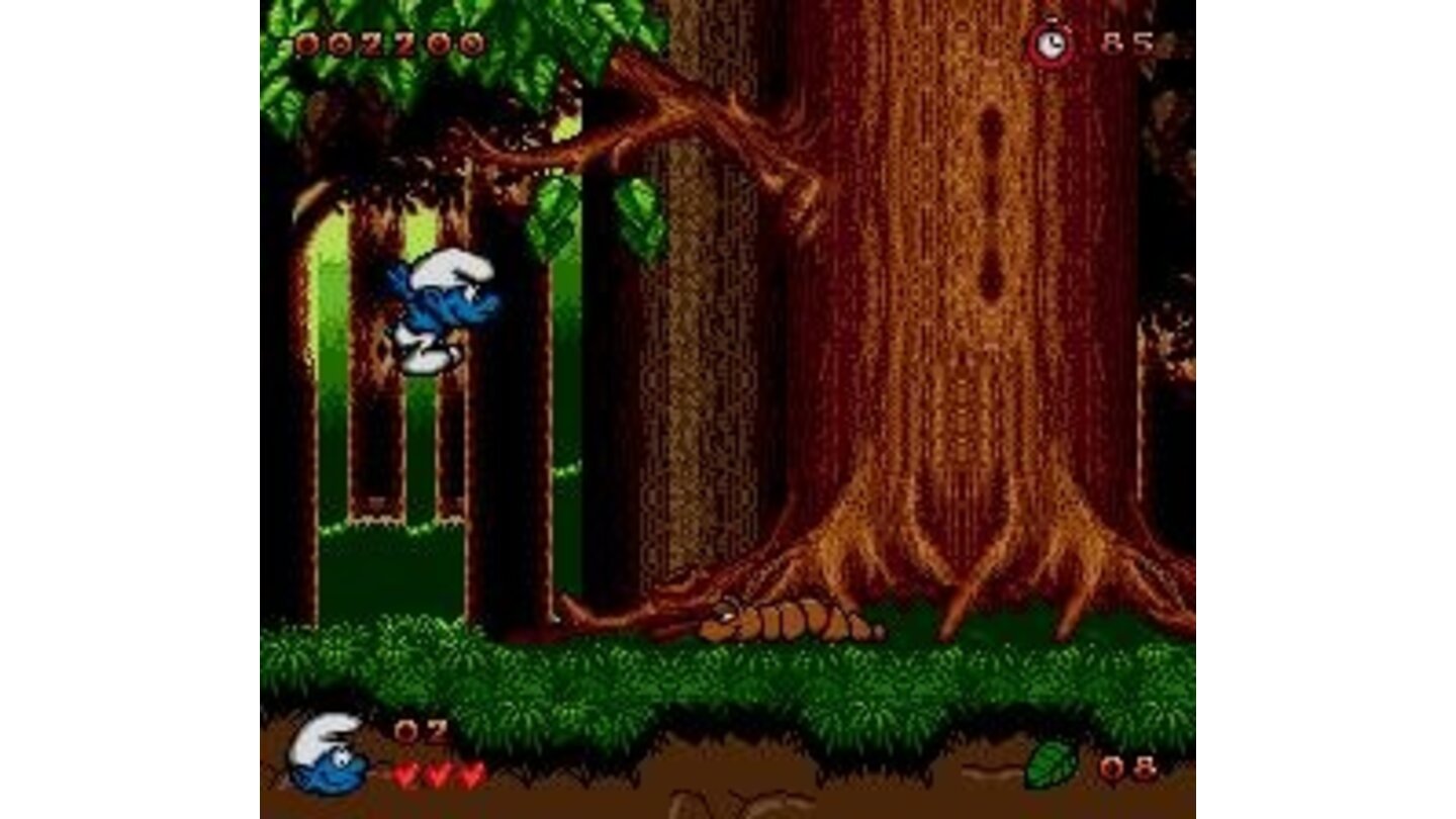 Forest level
