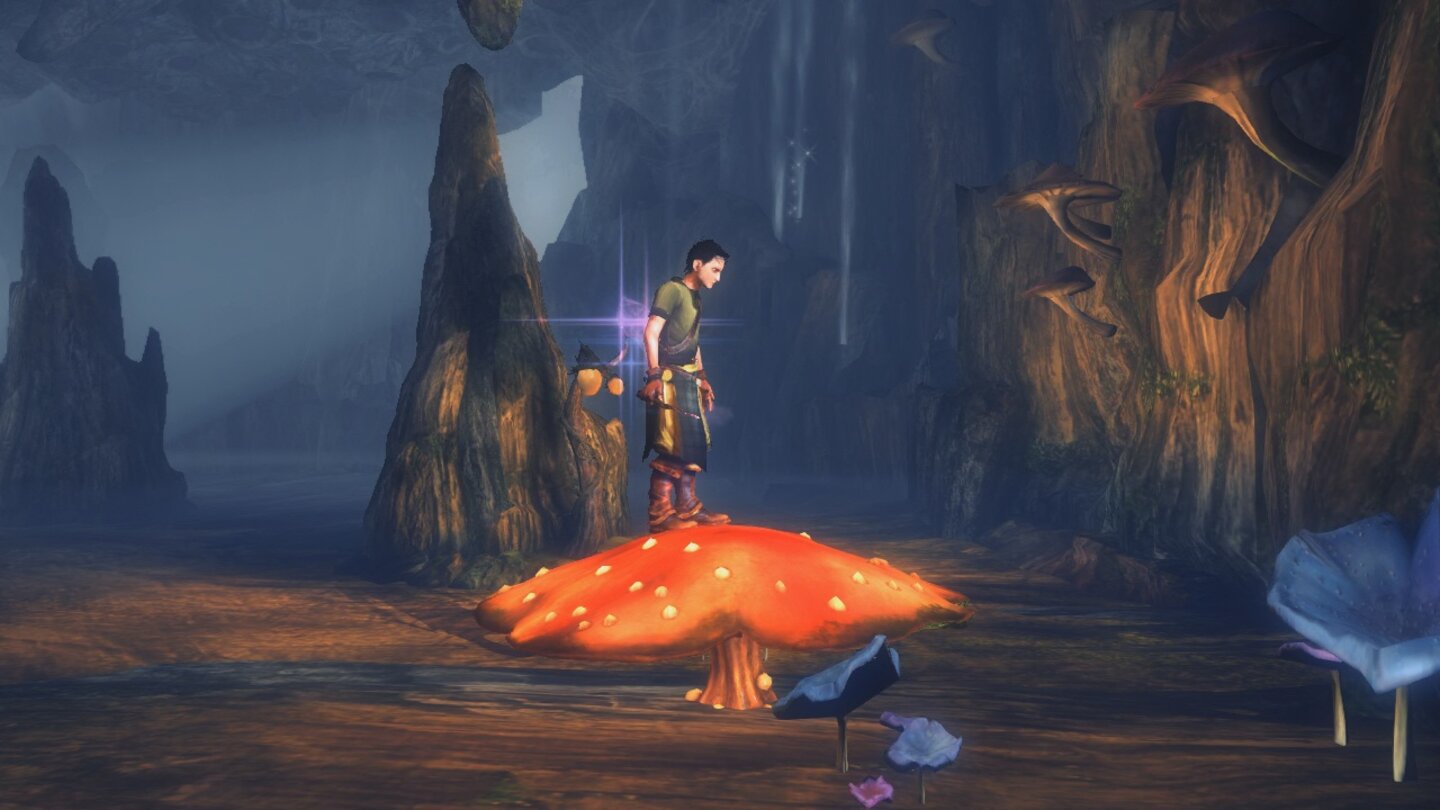 SorceryDer riesige Pilz ist eigentlich ein Sprungbrett mit dem Finn höher gelegene Orte erreicht.