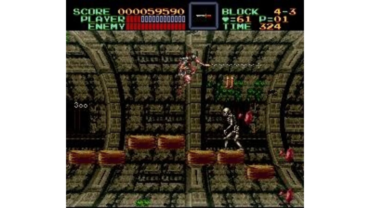One of several levels that make use of the SNES' 3D-Chip.