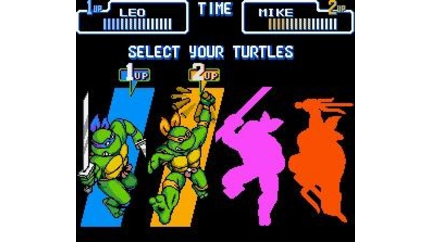 Choose your turtle!