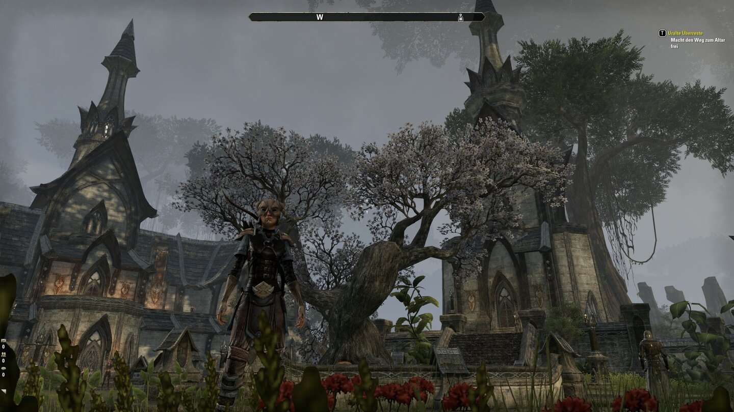 The Elder Scrolls OnlineIn der Landschaft des Aldmeri Dominion sind wir oft unter lieblichen Bäumen unterwegs.
