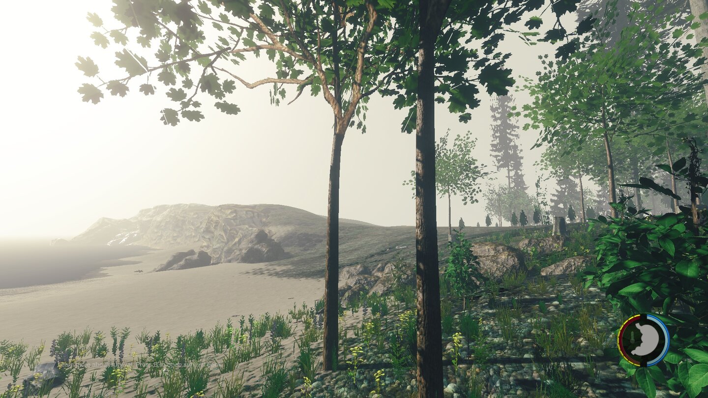 The Forest - Screenshots aus Version 0.06Bäume, Sträucher und umherliegende Steine und Stöcke dienen uns als Grundmaterialien für jeglichen Unterschlupf und jedes Feuer, das wir uns errichten werden.