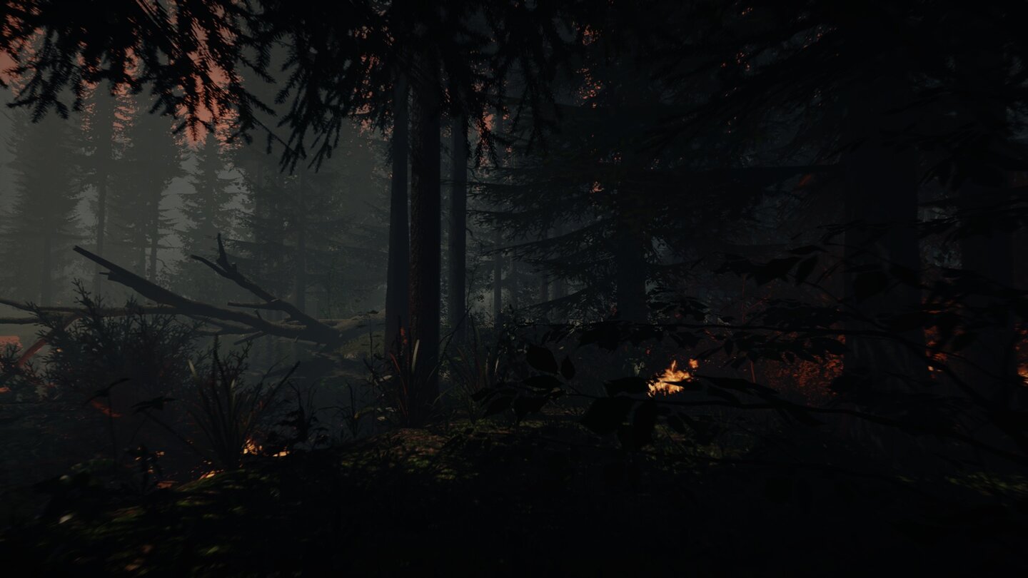 The Forest