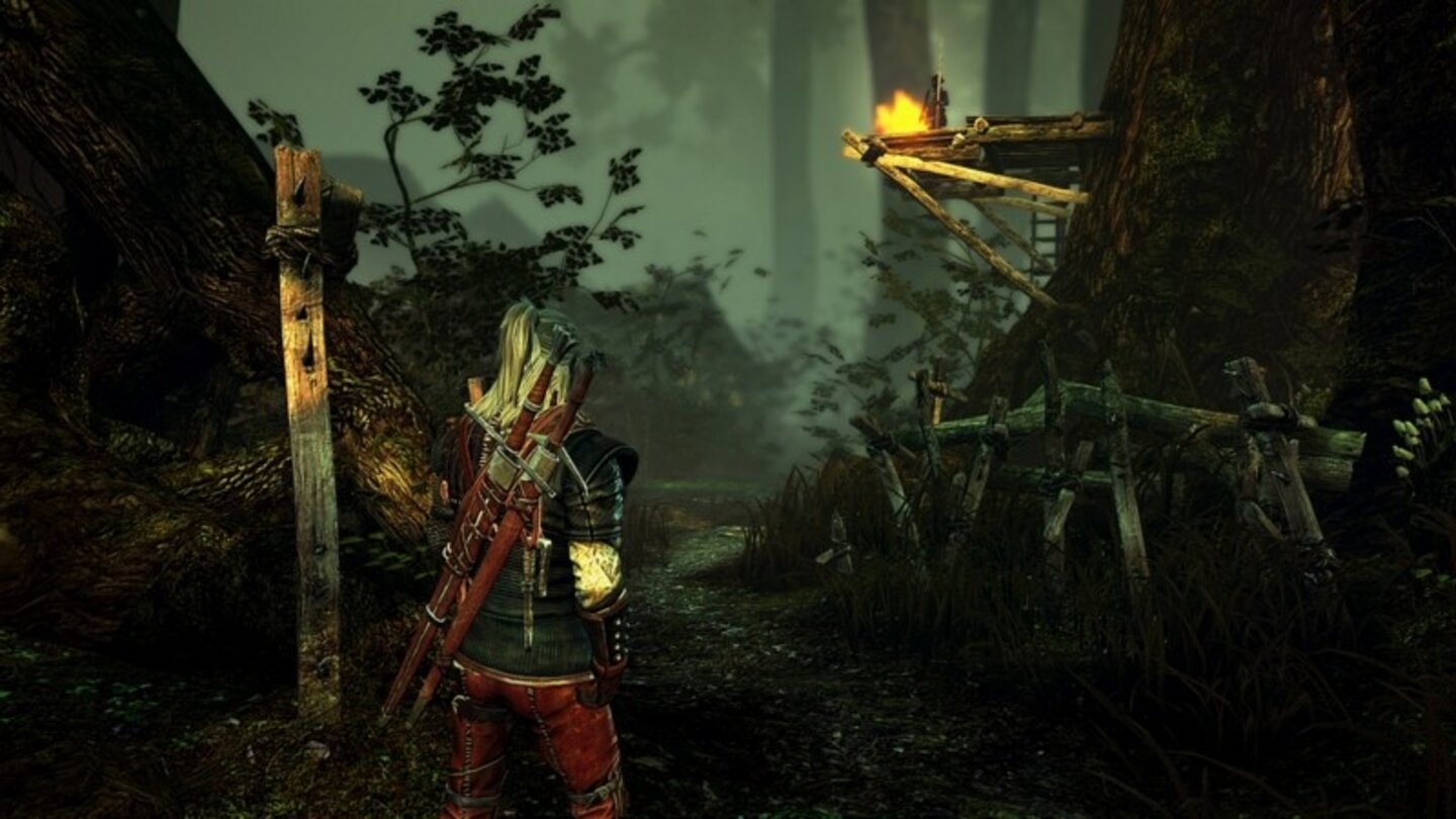 The Witcher 2: Assassins of Kings