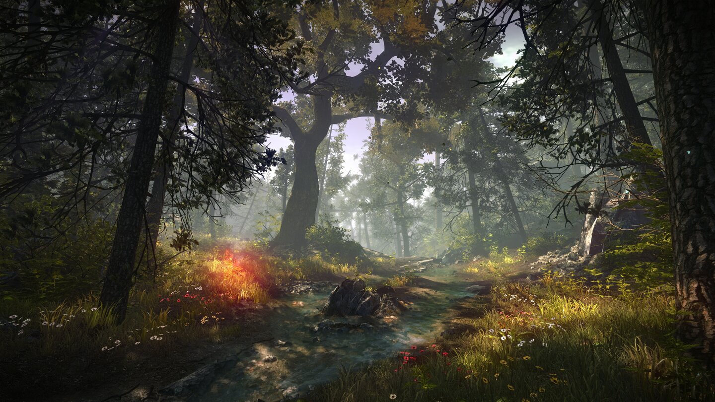 The Witcher 2: Enhanced EditionDie Landschaften des Spiels sind äußerst idyllisch. Im Waldgebiet beeindrucken vor allem die Lichtstimmung und die vielen kleinen Details.
