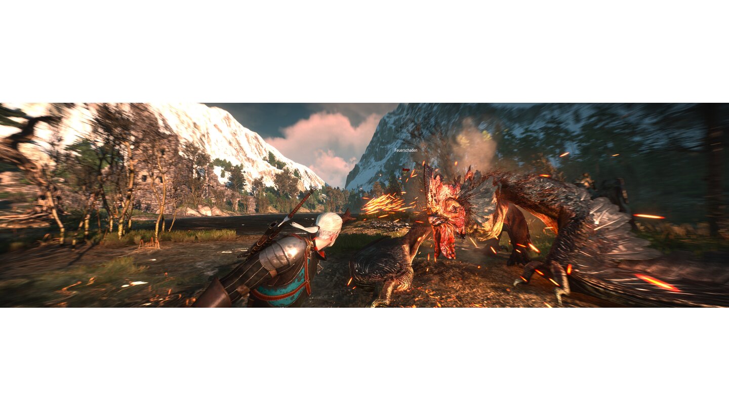 The Witcher 3: Wild Hunt (PC)Grillhähnchen à la Geralt: Mit dem Igni-Flammenstrahl rösten wir eine Gorgo, eine Art Drachenhuhn.