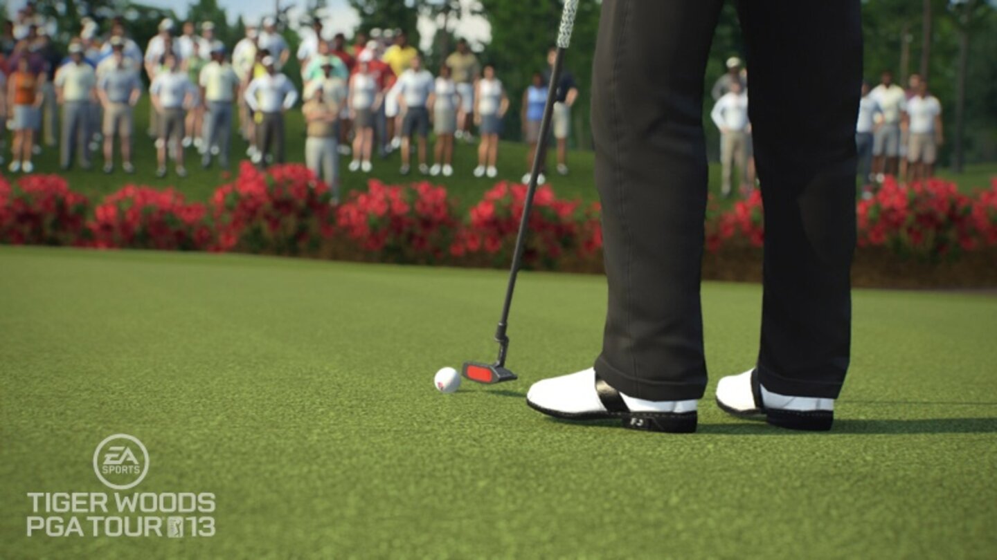 Tiger Woods PGA Tour 13