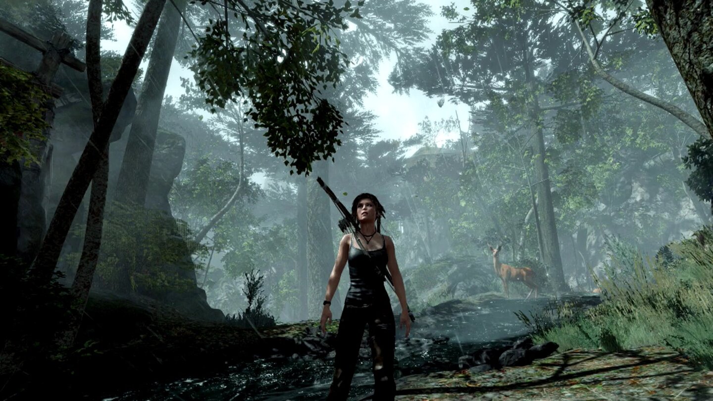 Tomb Raider: Definitive EditionGenießt die kurze Zeit, denn so idyllisch wie im Wald zu Beginn des Spiels wird's später nie wieder in Tomb Raider: Definitive Edition.