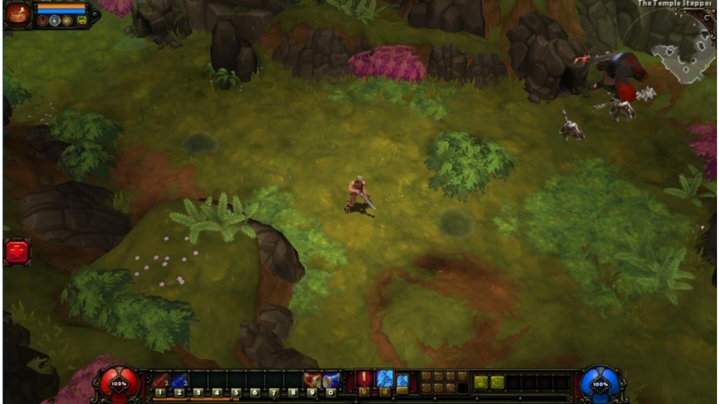 Torchlight 2