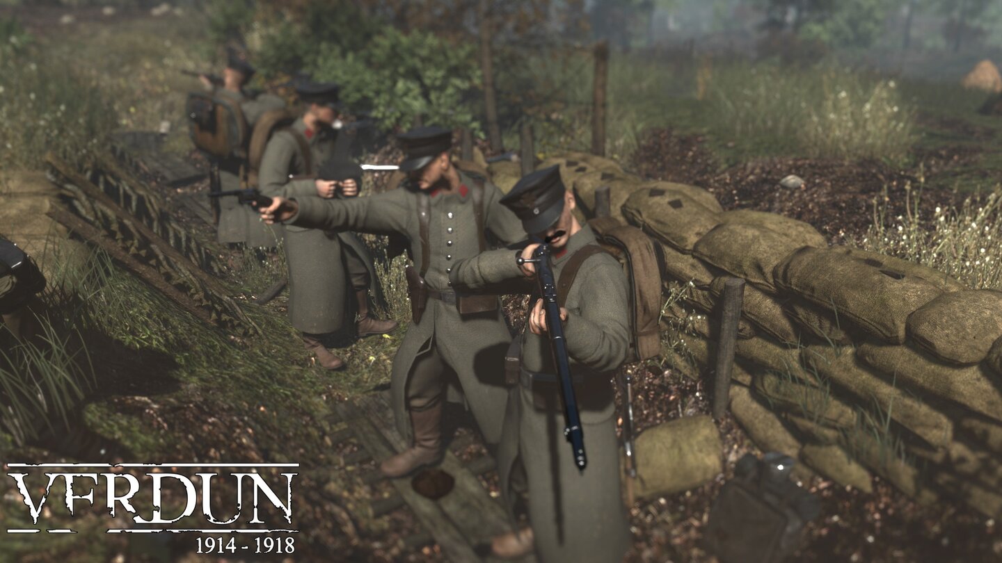 Verdun - Horrors of War