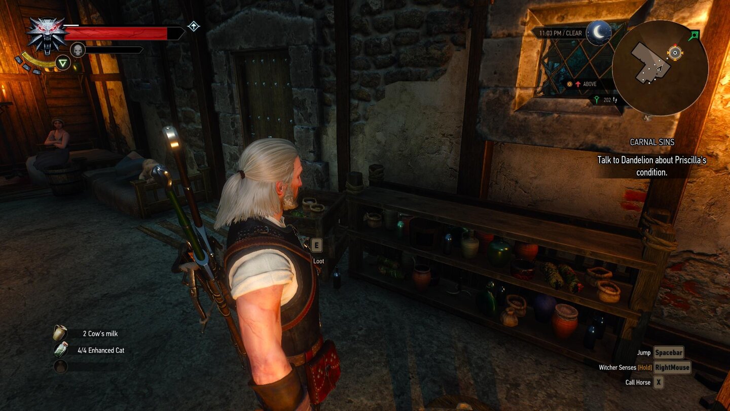 Witcher 3 - Technik - Ambient Occlusion - HBAO