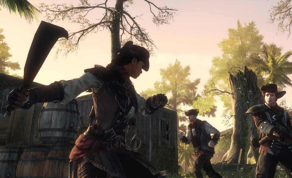 Assassin's Creed: Liberation HD erscheint am 15. Januar 2014 im PlayStation Store.