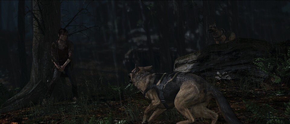 Im Wald wird Jodie von Polizeihunden angegriffen. 