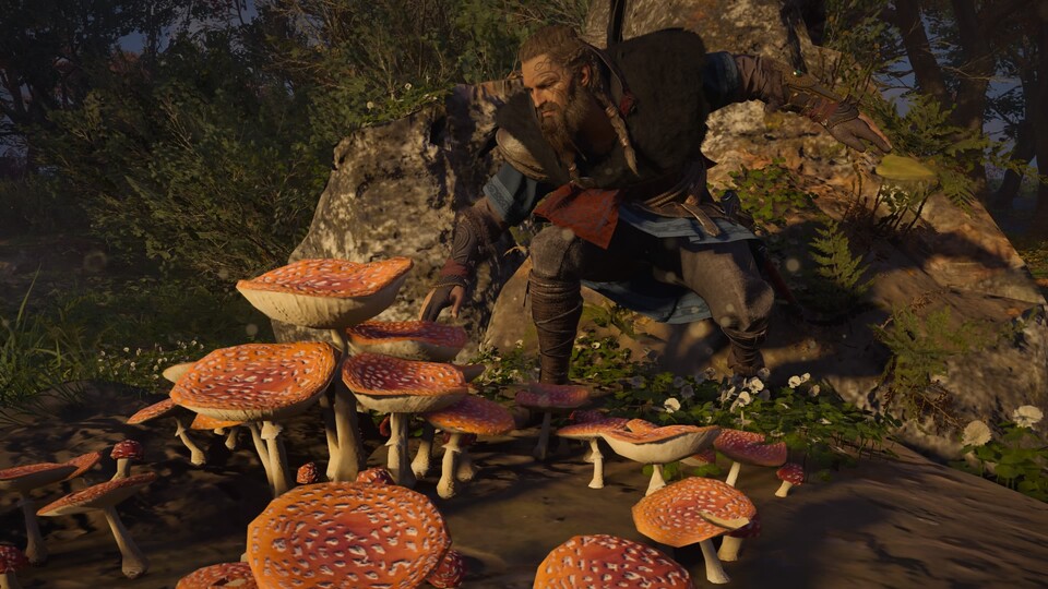 In AC Valhalla könnt ihr in der Welt Pilze finden.