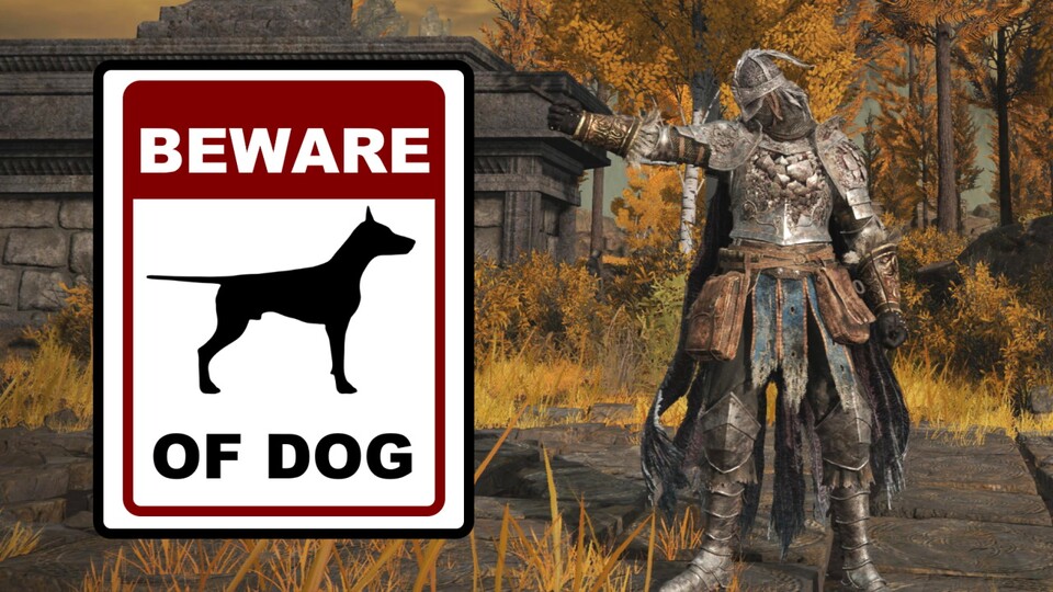 Das Dog-Meme in Elden Ring erlangt dank diesem speziellen Heldenhund eine ganz neue Bedeutung.