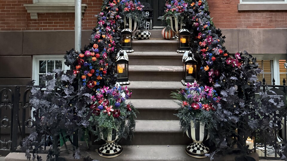 Auf den ersten Blick ist eigentlich nichts zu erkennen. Aber die Blumen sind etwas ganz Besonderes.