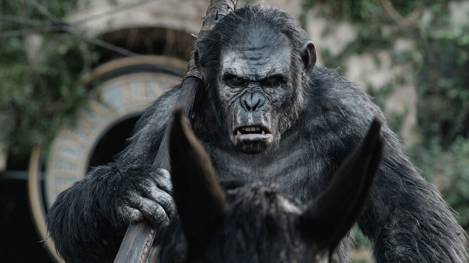 Die Dreharbeiten zum dritten »Planet der Affen«-Film haben begonnen.