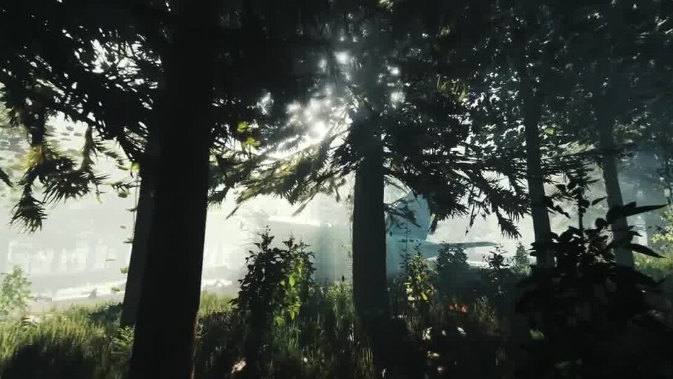 The Forest - Ingame-Trailer zur Ankündigung für die PlayStation 4