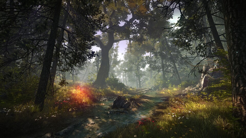 Die Landschaften des Spiels sind äußerst idyllisch. Im Waldgebiet beeindrucken vor allem die Lichtstimmung und die vielen kleinen Details.