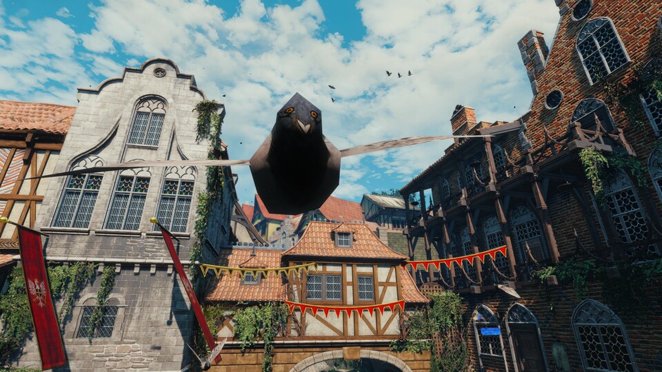 Diese Taube erobert die Herzen der The Witcher 3-Community im Sturm (Bild: reddit.comuserben0074).