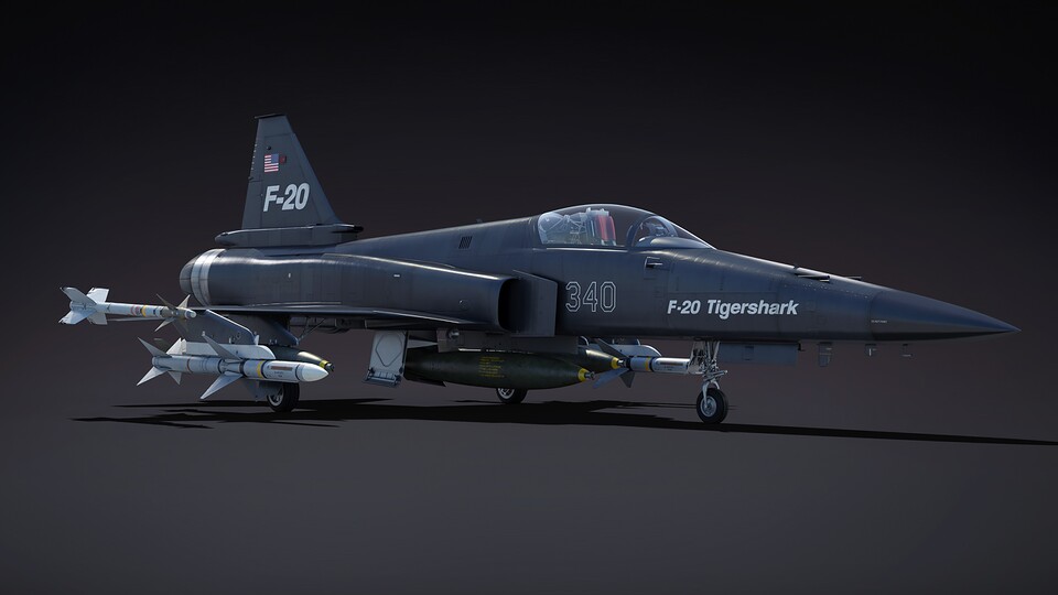 Schnell, wendig und gut bewaffnet. Die F-20A ist ein exzellentes Flugzeug, das auch Neulinge schnell beherrschen.