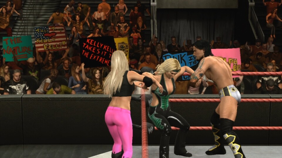 WWE Smackdown vs. Raw 2010: Auch gemischte Tag-Teams sind möglich. Aber Vorsicht: Sobald ihr als Mann eine Diva attackiert, werdet ihr disqualifiziert!