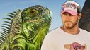 gta-6-tiere_6442476.jpg