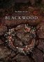 The Elder Scrolls Online: Blackwood Upgrade