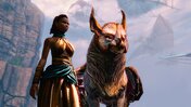 Du spielst Guild Wars 2 also erfolgreich solo