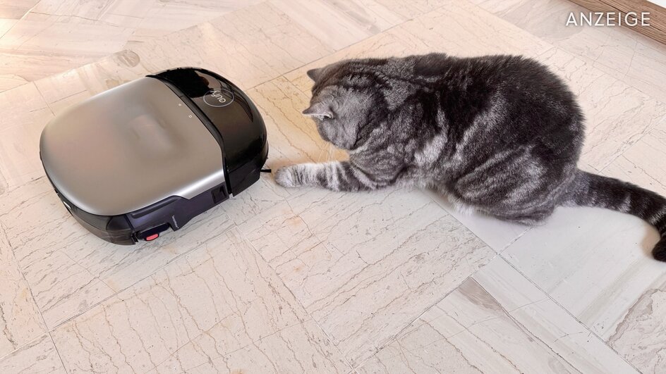 Teaserbild für Ohne Ende Katzenhaare und Gerüche – dieser Saugroboter hat ganz neue Tricks auf Lager! Ich habs ausprobiert