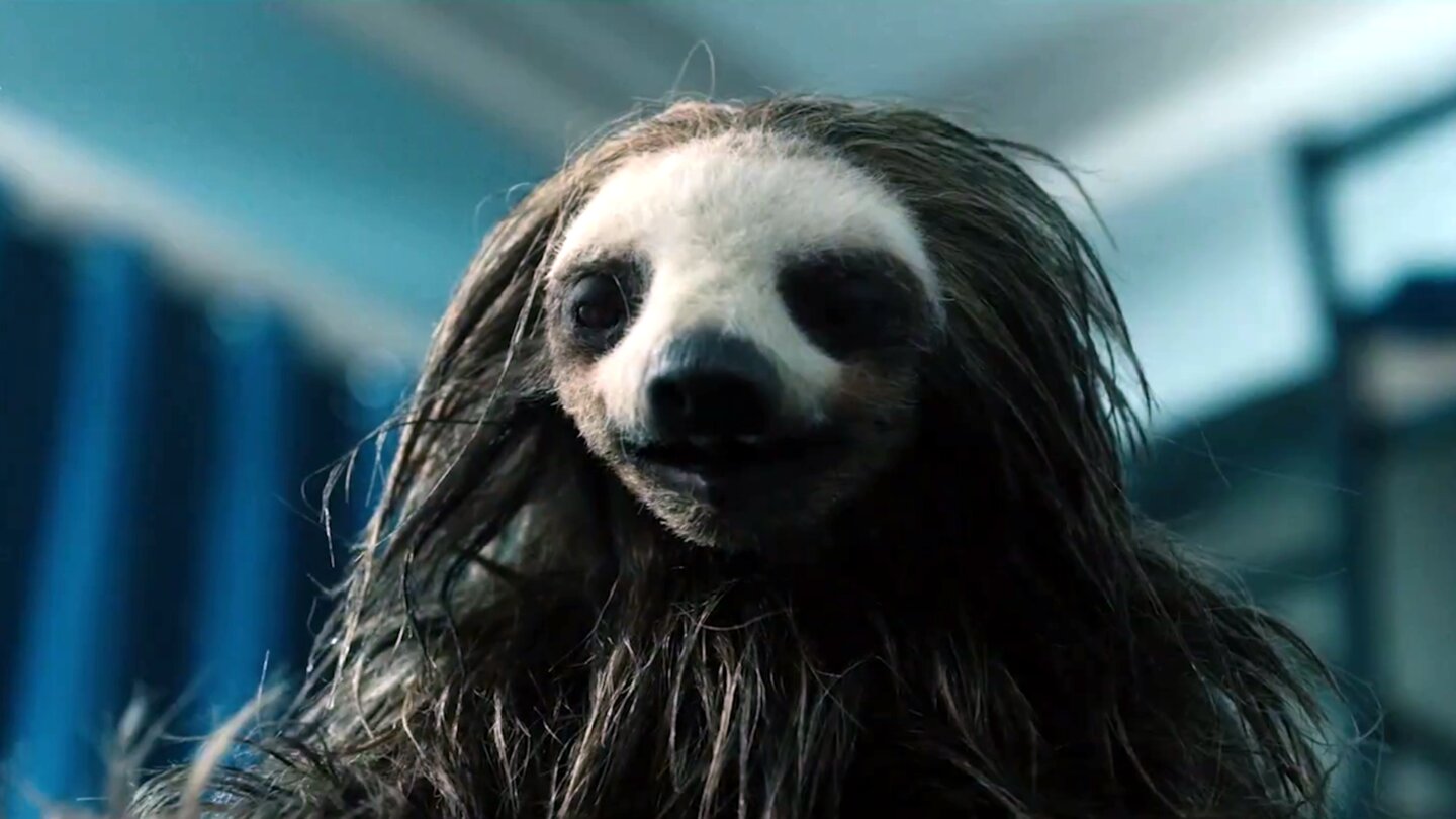 Im Horrorfilm Slotherhouse wird ein Faultier zum Killer - ja, ihr habt