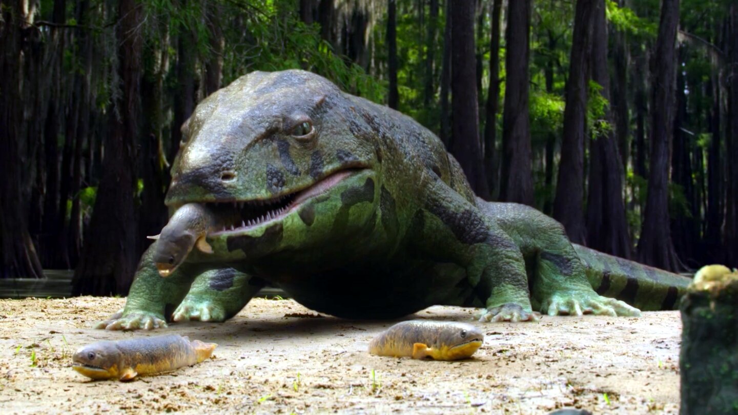 Leben auf unserem Planeten: Steven Spielberg produziert für Netflix ...