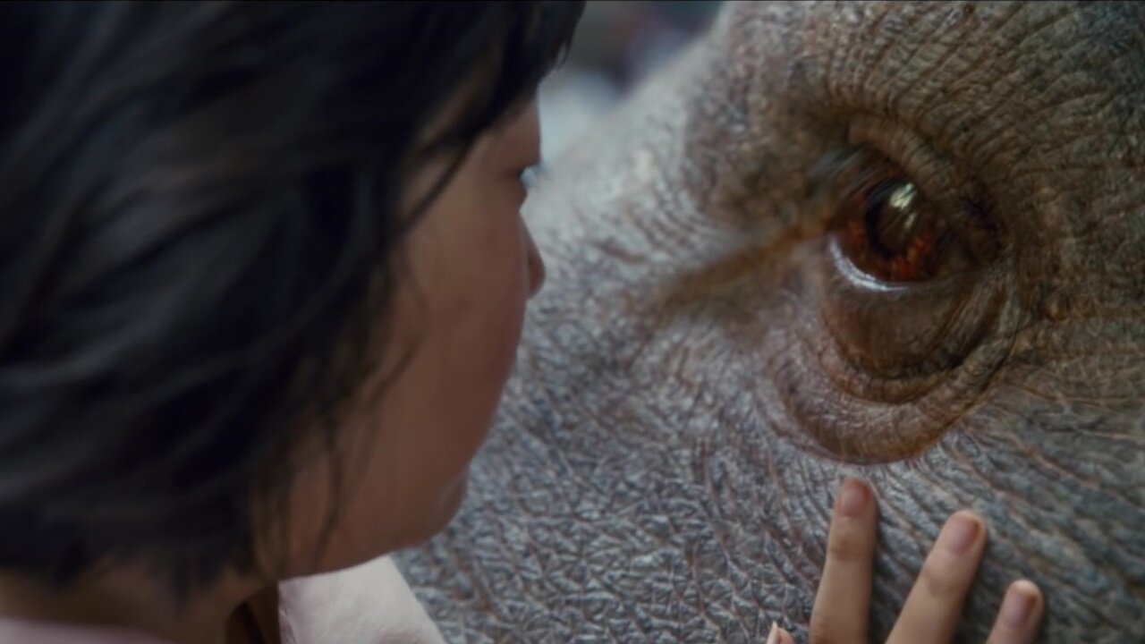 Okja - Trailer zum Netflix-Monsterfilm von Snowpiercer-Regisseur Bong Joon Ho