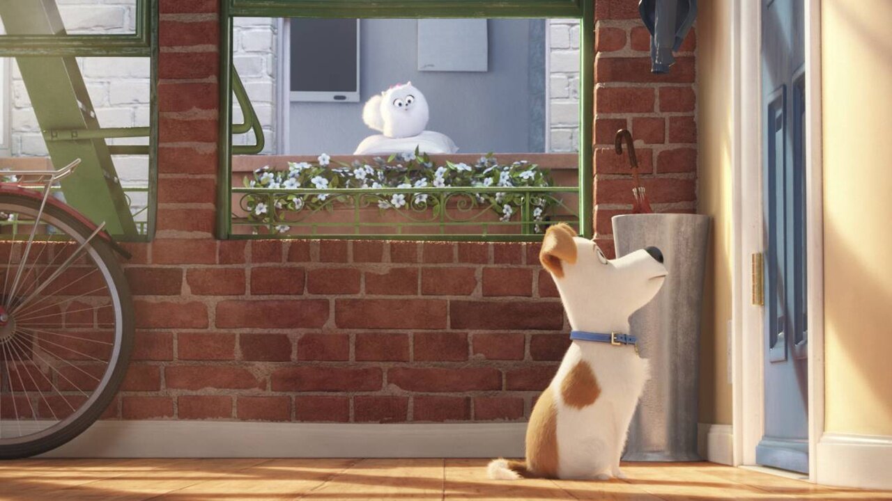Pets - Neuer tierischer Trailer zur Animationskomödie