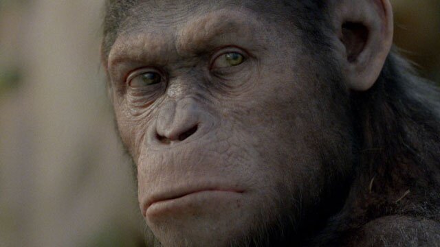 Planet der Affen: Prevolution - Exklusiver Clip zum Film
