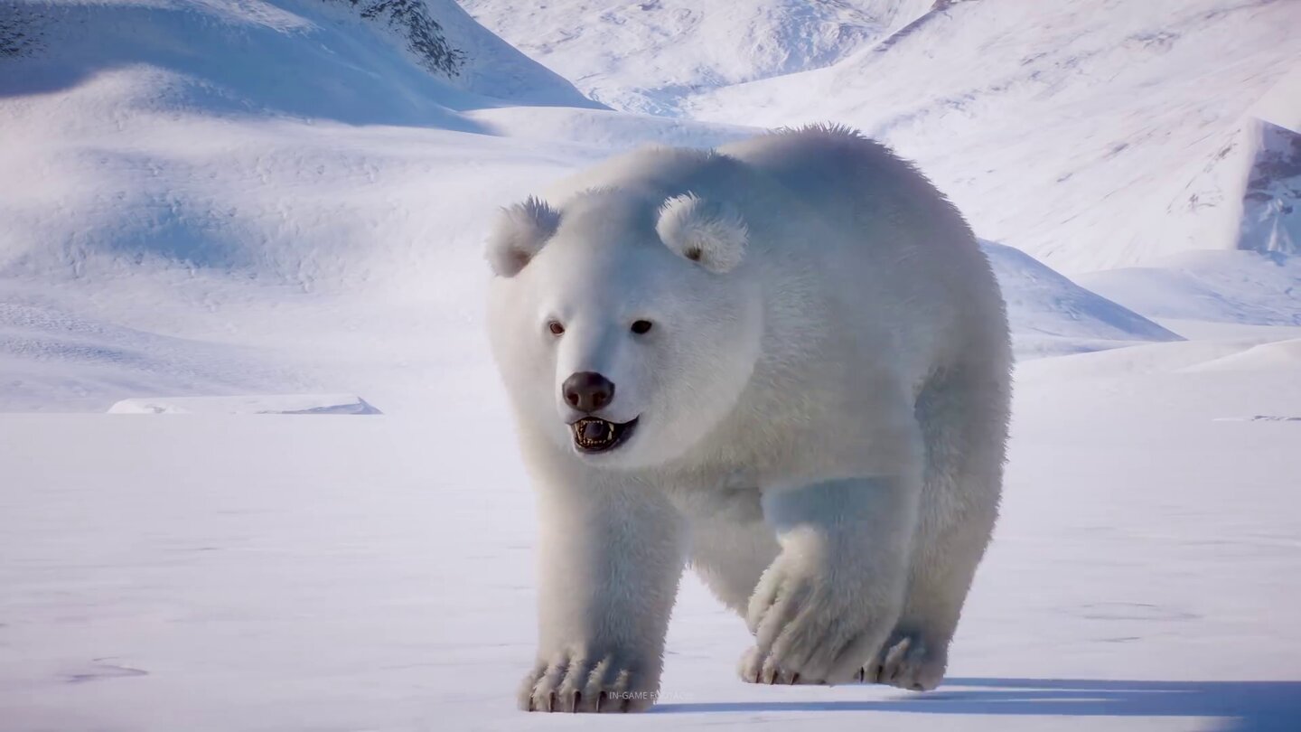 Planet Zoo: Der Trailer zum Arktis-DLC stellt Eisbären und mehr vor