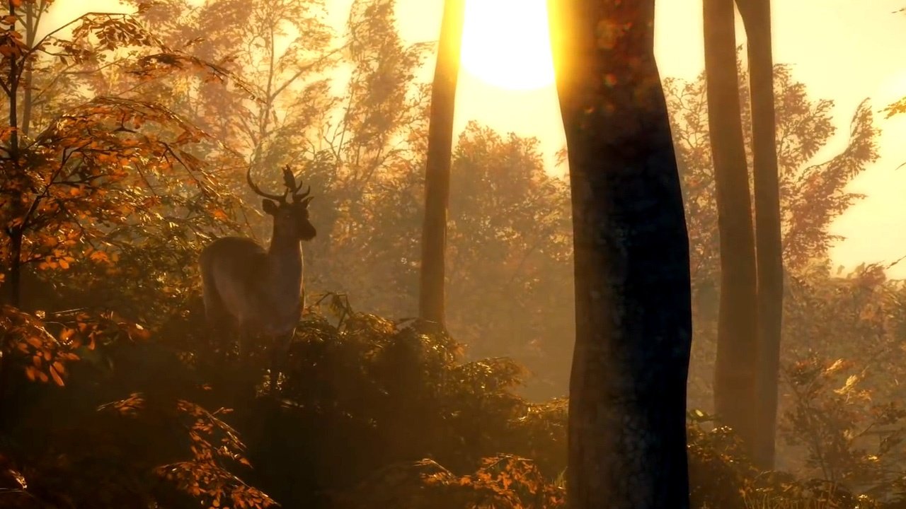 theHunter: Call of the Wild - Gameplay-Trailer zeigt Jagd vor herrlicher Naturkulisse