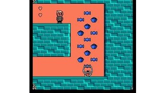 Lots of extra stuff!