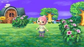 Animal Crossing: New Leaf