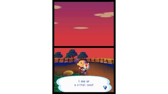 Animal Crossing Wild Wild World DS 9