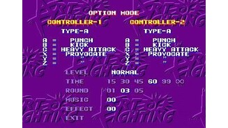 You can use the three or six button controllers with this game.