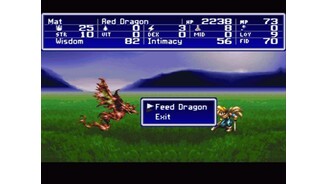 Feeding a dragon will make him more powerful, depending on the food you give him