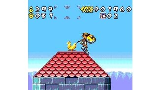 Cheetah on the roof!