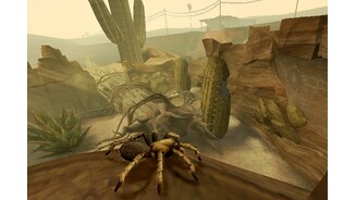 Deadly Creatures 1