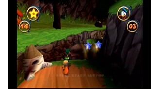 Forest Level